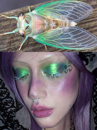CICADA PALETTE X freya86_ff *11AM CST*